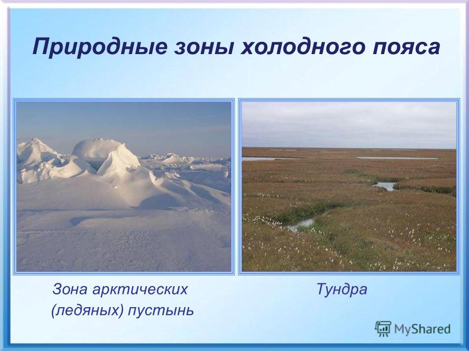 Характеристика арктических пустынь и тундры. Природные зоны полярного пояса. Природн зона полярного пояса. Тундра природная зона. Зона арктических пустынь.