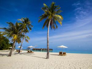 Предложения и цены по турам на острова Бора-бора, Французская Полинезия