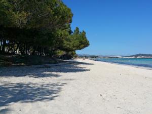Острів відпочинку Райський відпочинок на пляжах Фернанду-ді-Норонья
